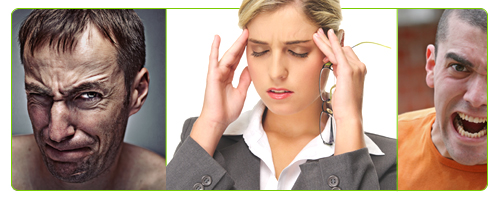 20% Leistungssteigerung mit Rhodiola